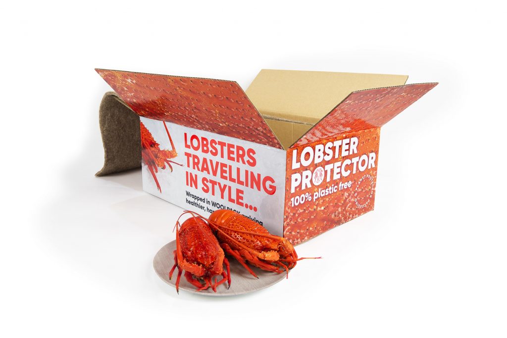 Lobster packaging carton with lobsters